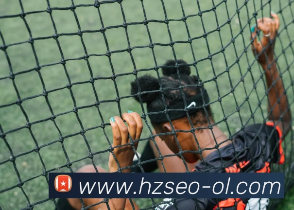 数据防护可视化